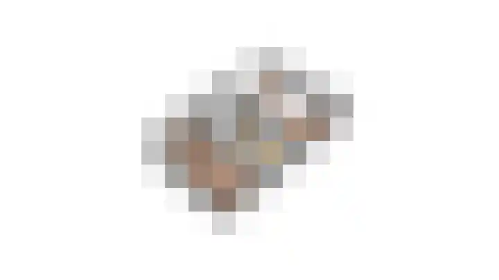 Klemvogel 39 Uden thumbnail 35