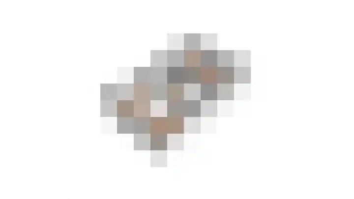 Klemvogel 39 Uden thumbnail 36