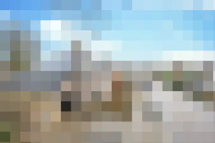 Klemvogel 39 Uden thumbnail 4