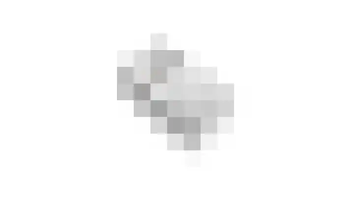 Klemvogel 39 Uden thumbnail 41