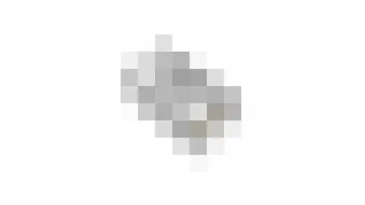 Klemvogel 39 Uden thumbnail 42