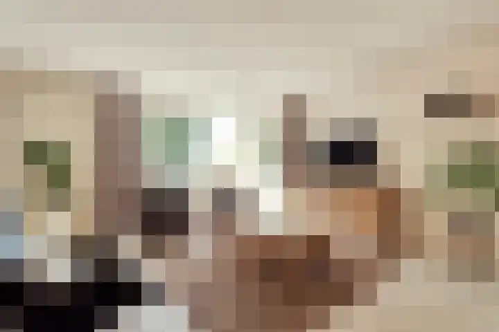Klepel 123 Emmen thumbnail 18