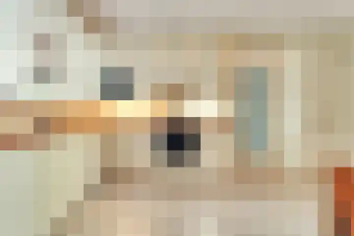 Klepel 123 Emmen thumbnail 21