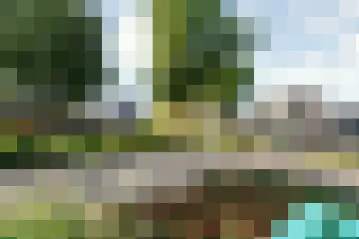 Klepel 123 Emmen thumbnail 33