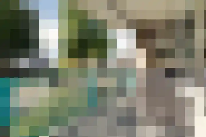 Klepel 123 Emmen thumbnail 5