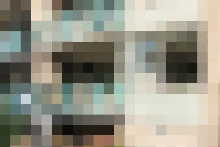 Klepel 123 Emmen thumbnail 6
