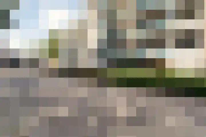 Klepel 123 Emmen thumbnail 7