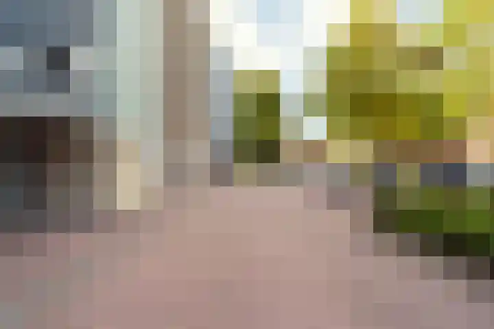 Klepel 123 Emmen thumbnail 9