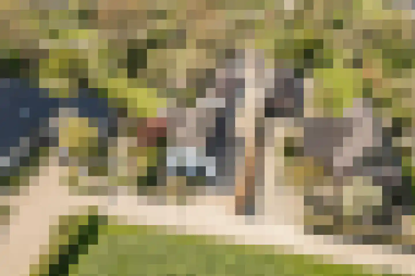 Klepel 13 Geldermalsen thumbnail 19