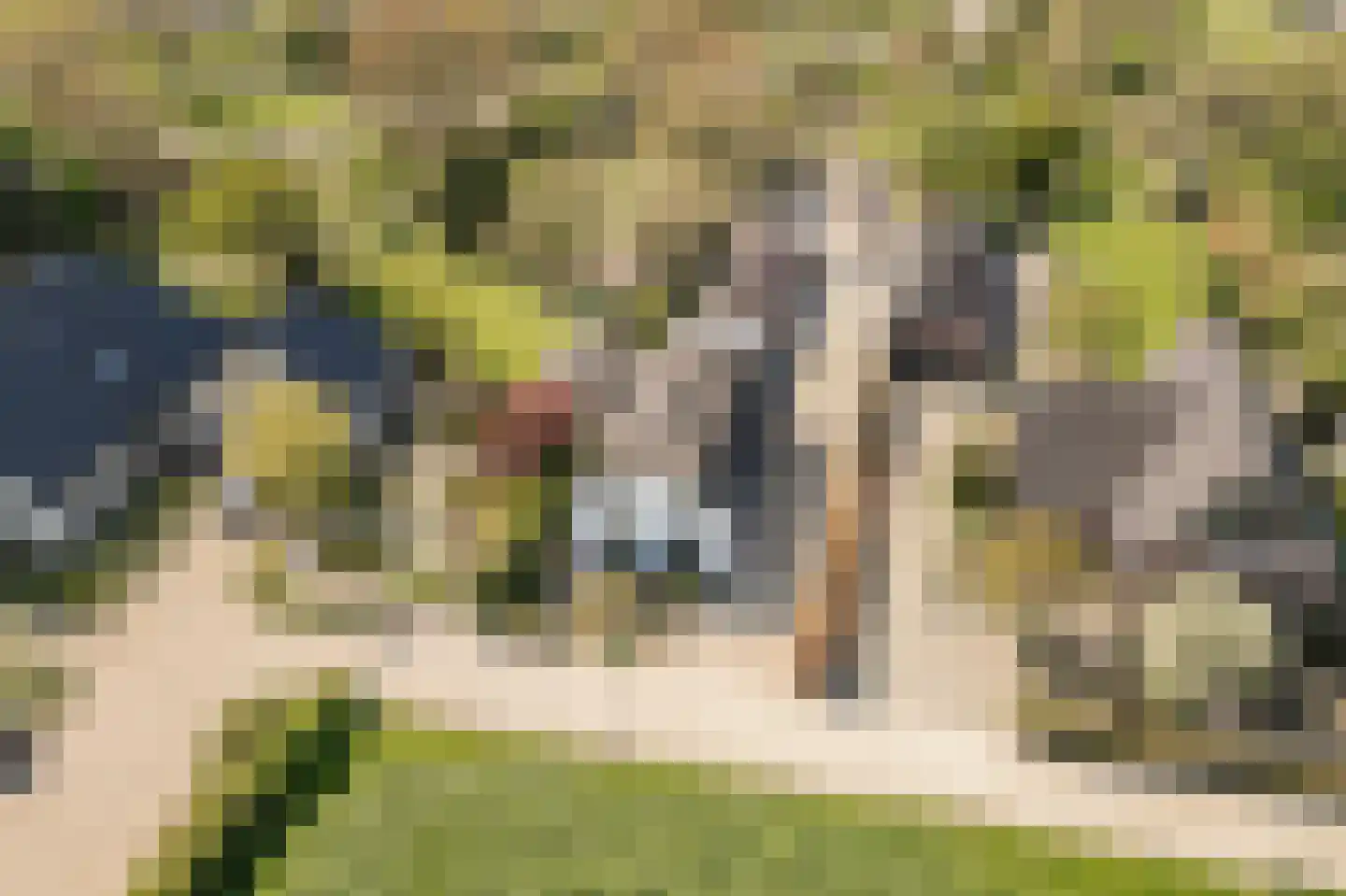 Klepel 13 Geldermalsen thumbnail 19