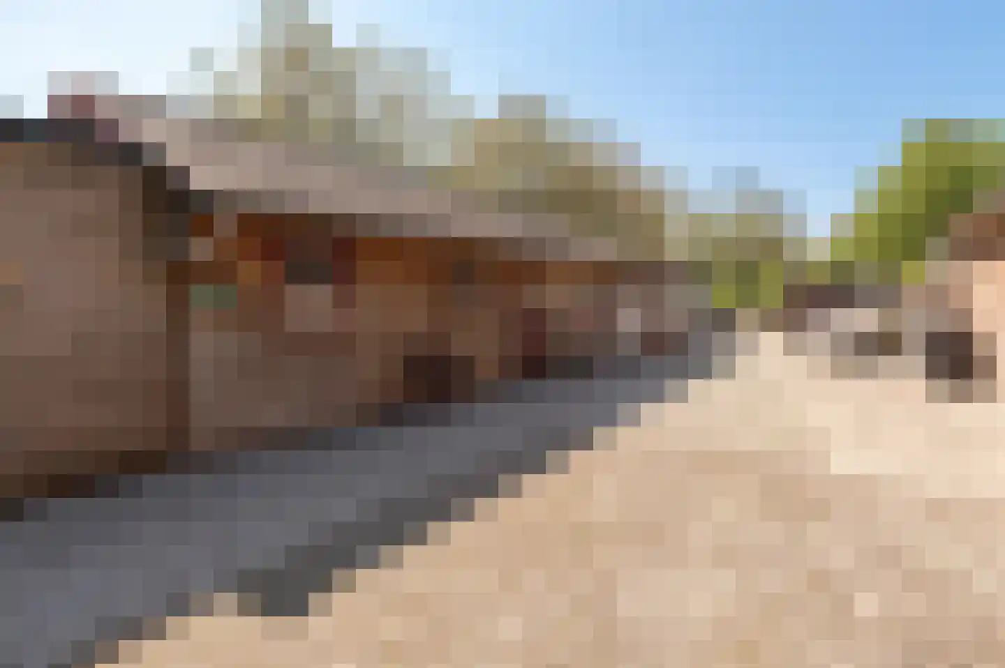 Klepel 13 Geldermalsen thumbnail 21