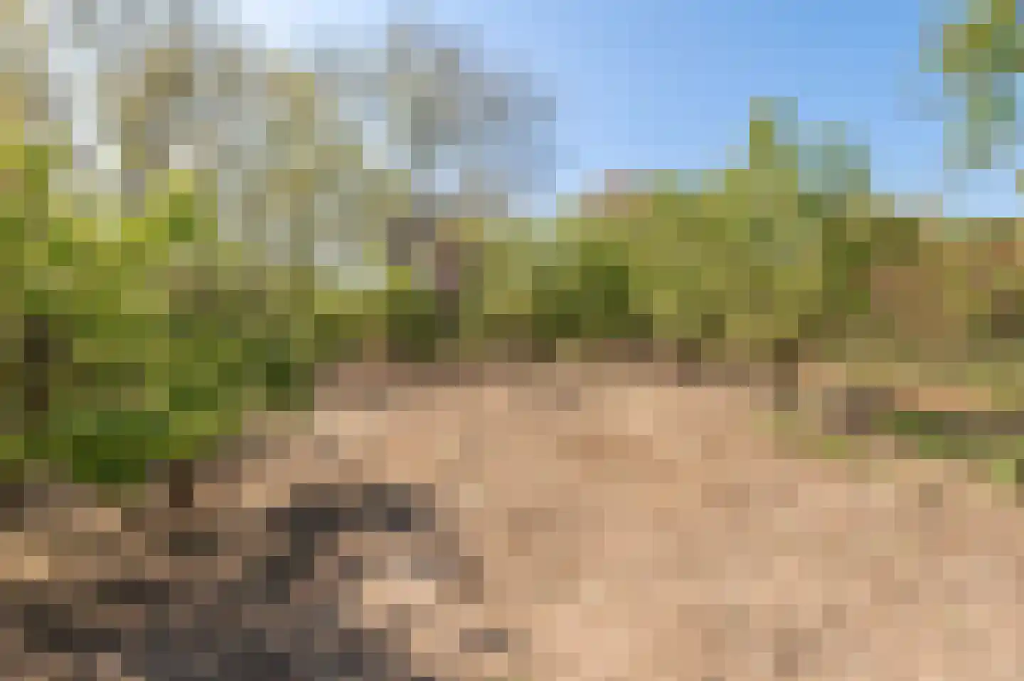 Klepel 13 Geldermalsen thumbnail 24
