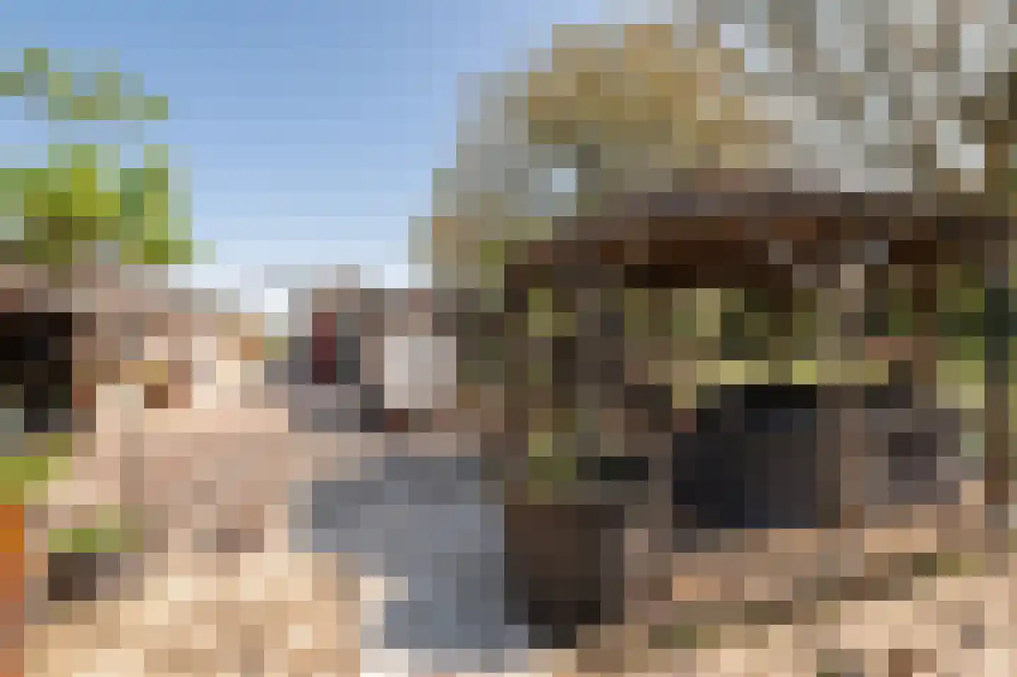 Klepel 13 Geldermalsen thumbnail 25