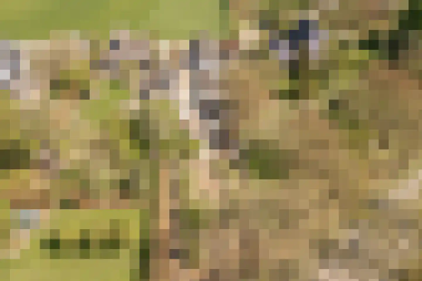 Klepel 13 Geldermalsen thumbnail 29