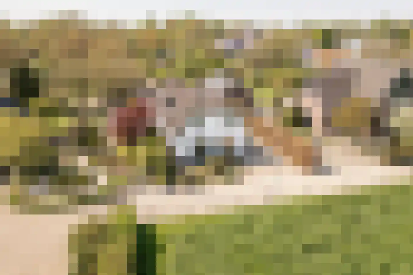 Klepel 13 Geldermalsen thumbnail 30