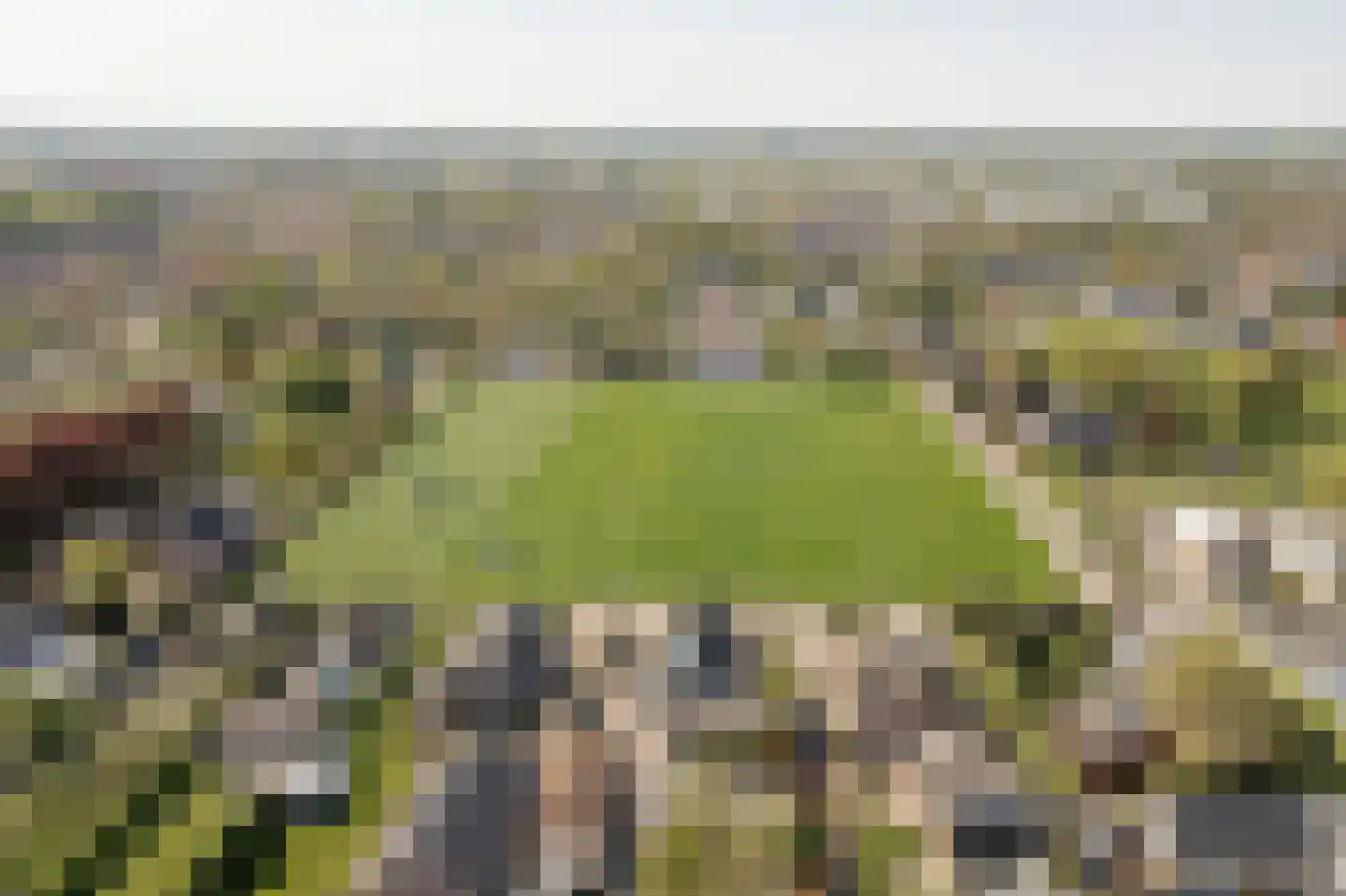 Klepel 13 Geldermalsen thumbnail 34