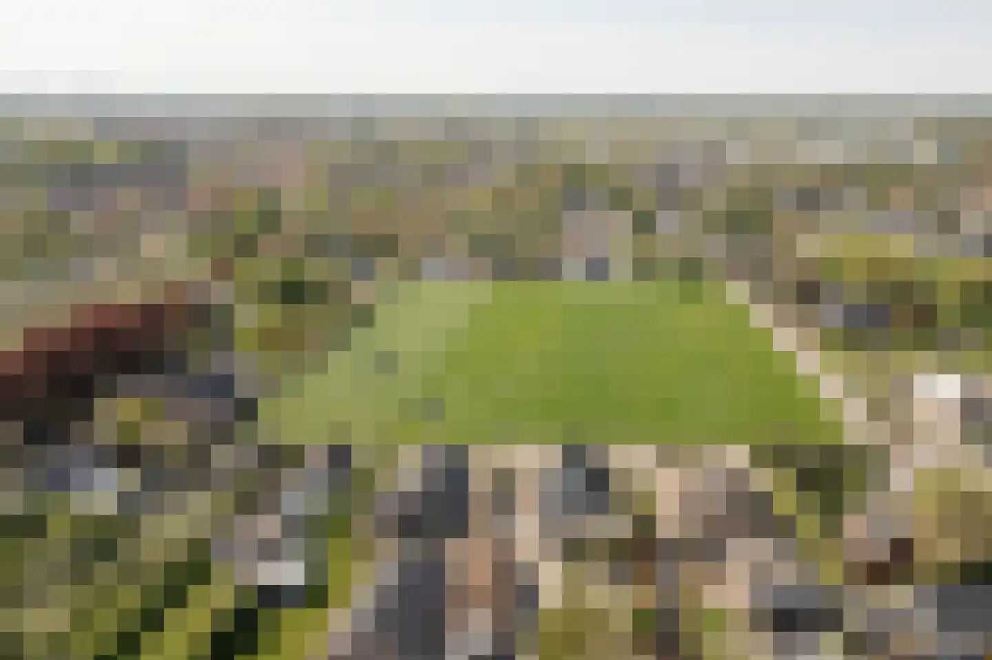 Klepel 13 Geldermalsen thumbnail 34