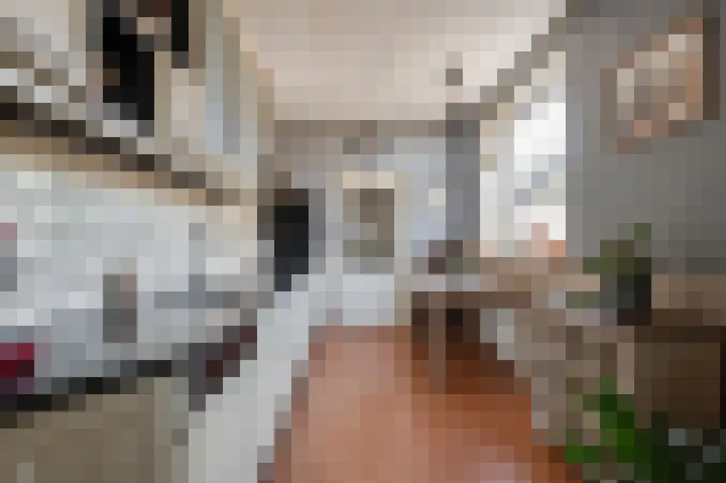 Klepel 13 Geldermalsen thumbnail 7