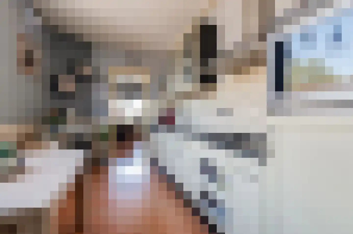 Klepel 13 Geldermalsen thumbnail 8
