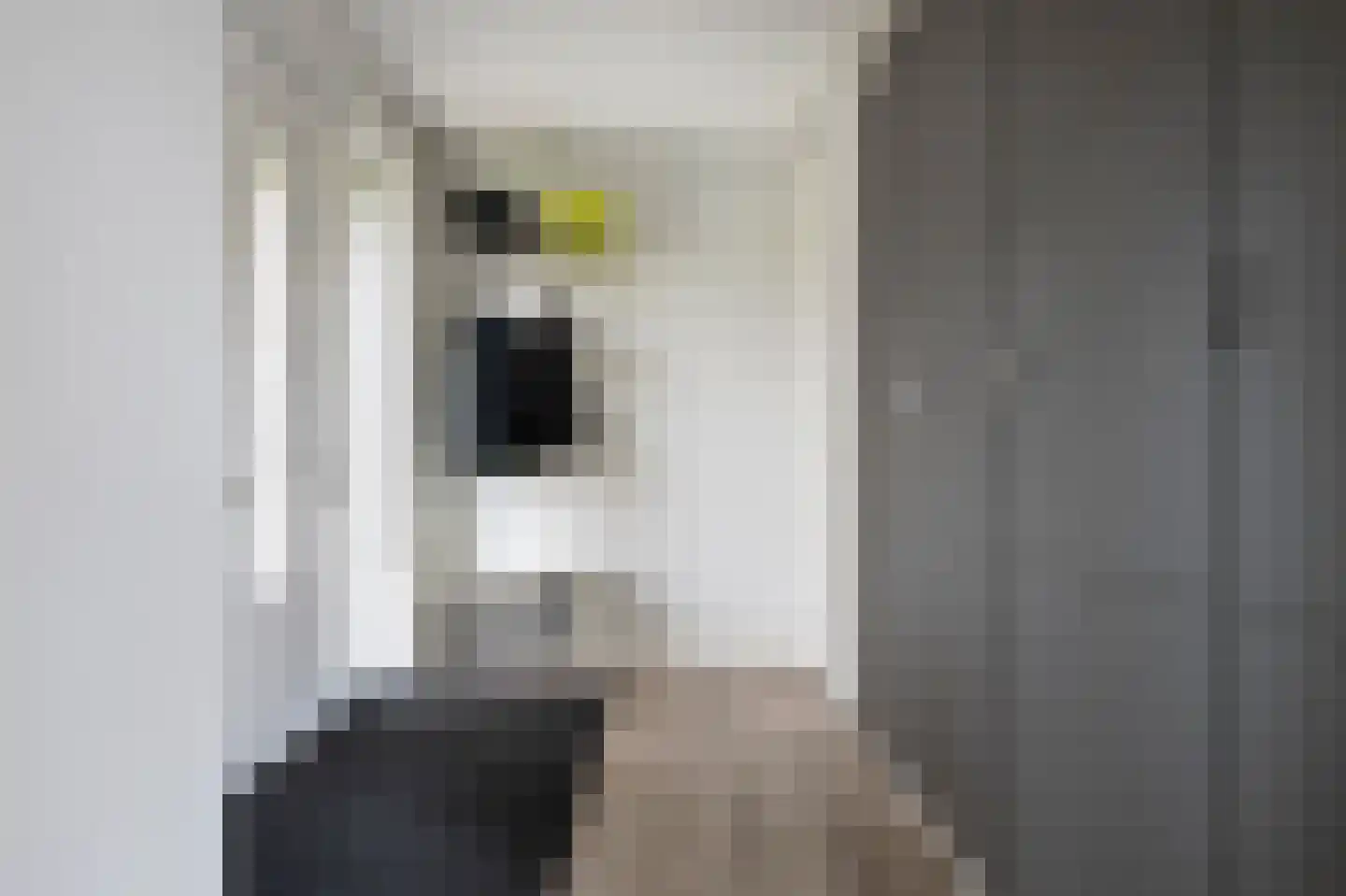 Klepel 14 Emmen thumbnail 16