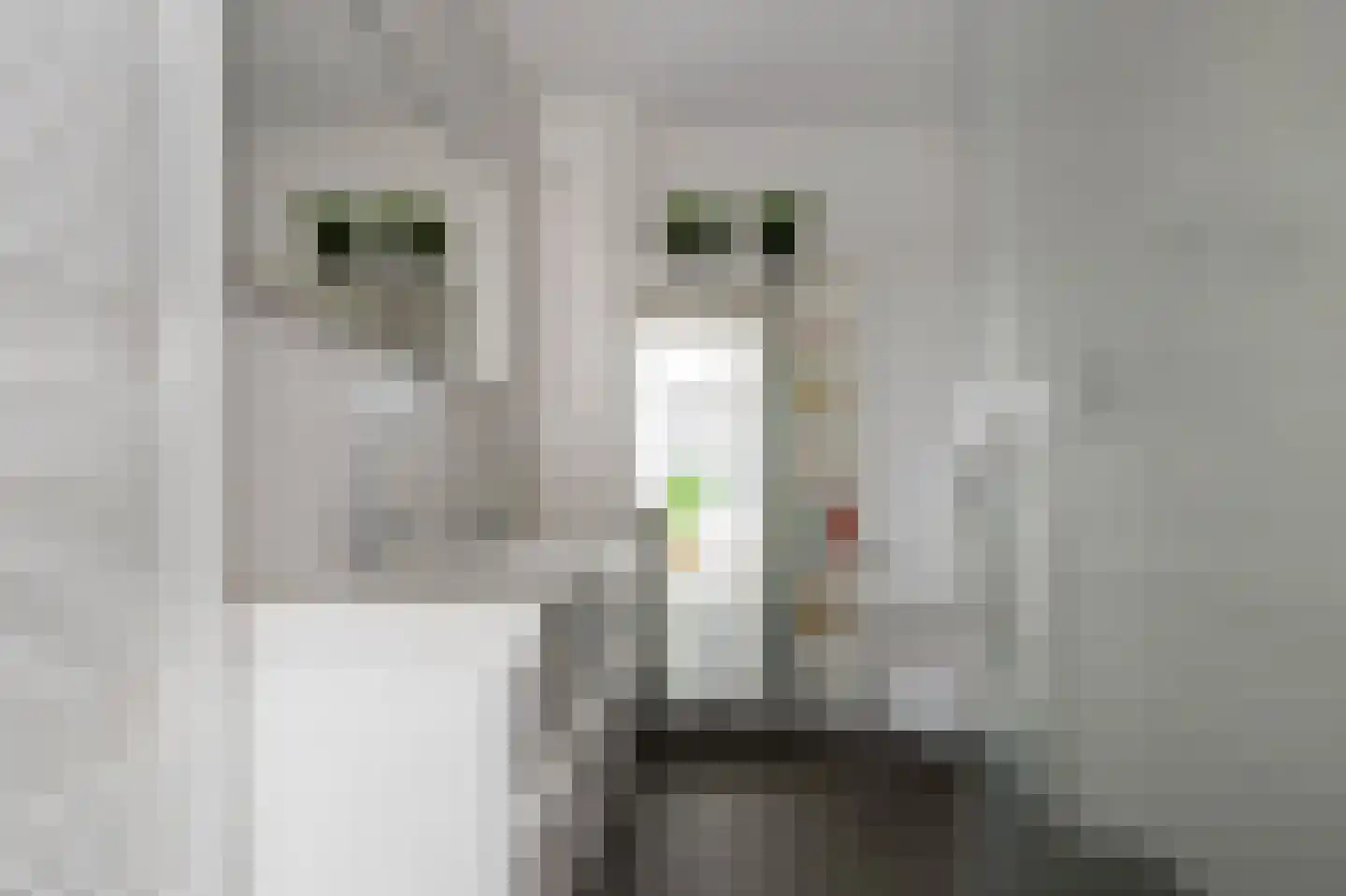 Klepel 14 Emmen thumbnail 20