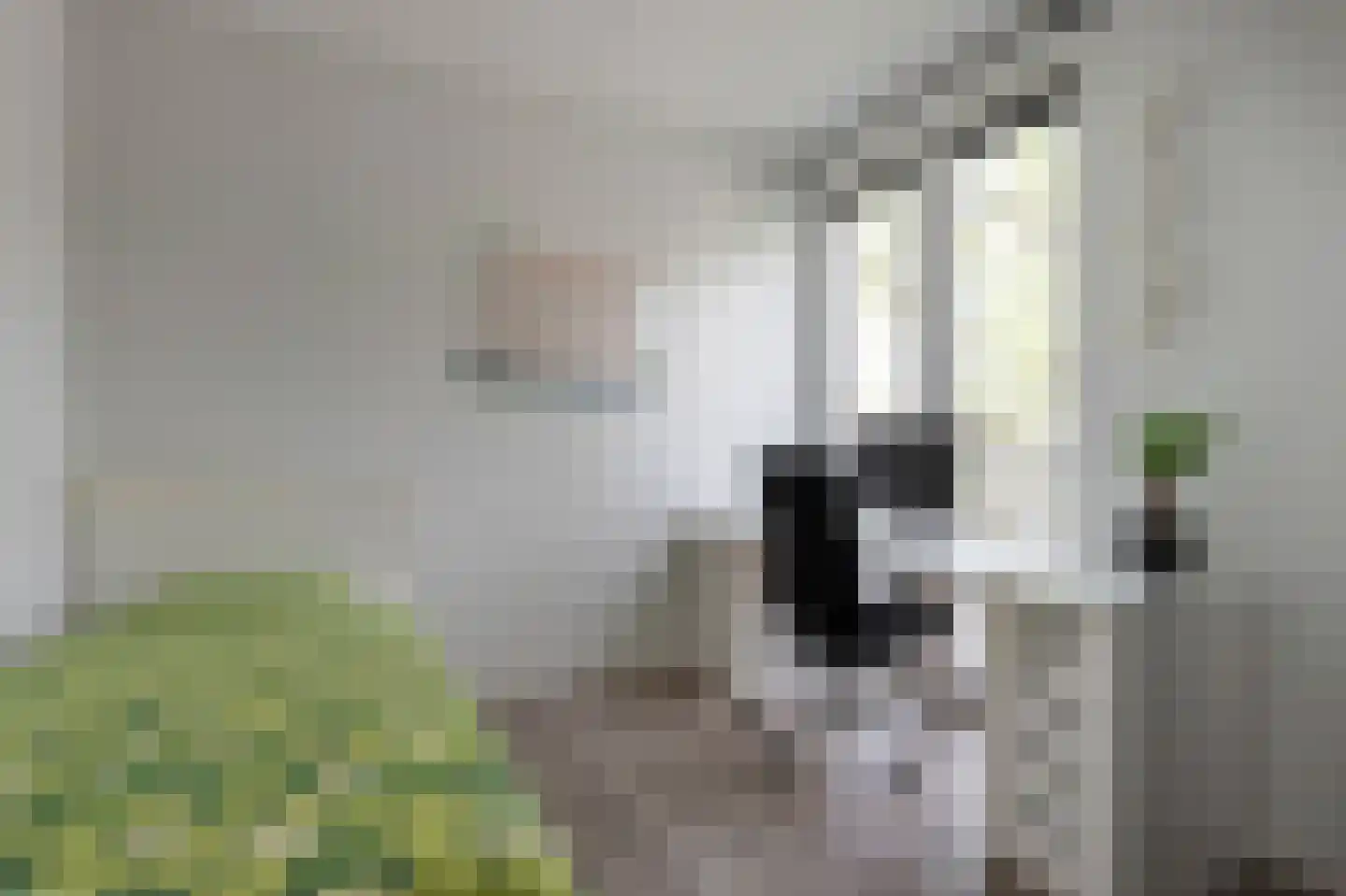 Klepel 14 Emmen thumbnail 25