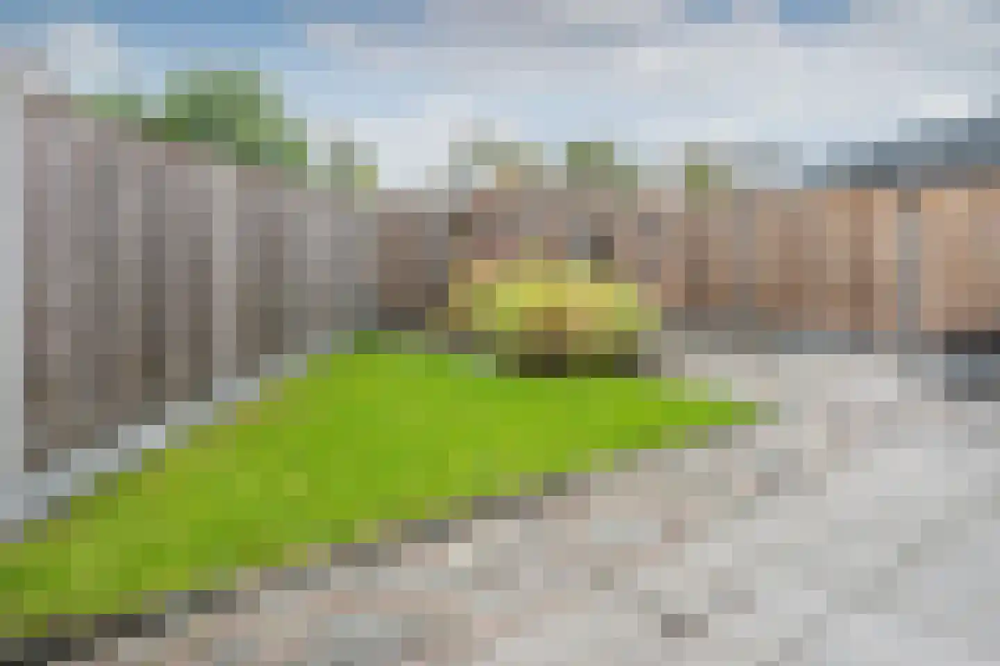 Klepel 14 Emmen thumbnail 31