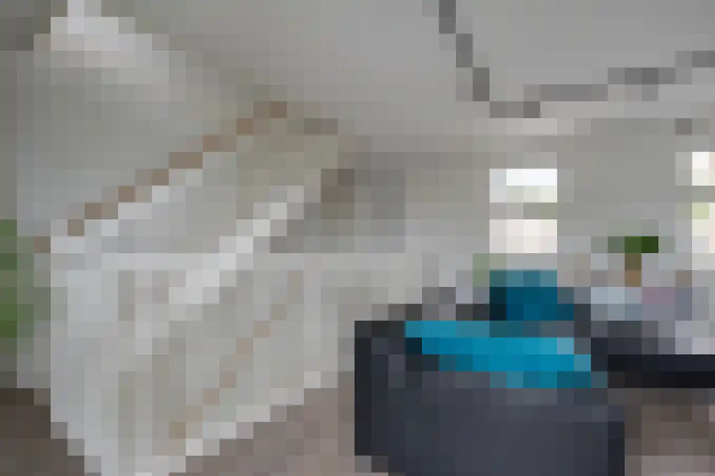 Klepel 14 Emmen thumbnail 7