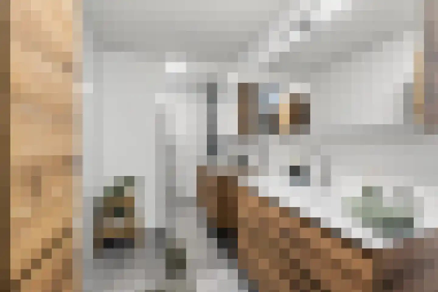 Klepel 155 Emmen thumbnail 25