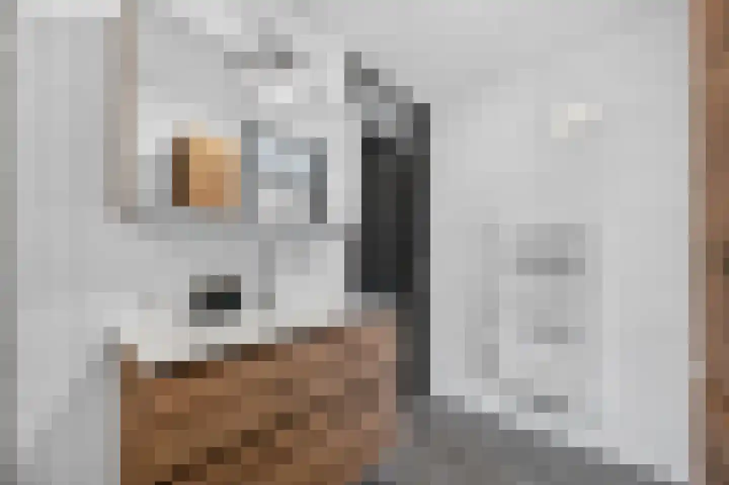 Klepel 155 Emmen thumbnail 26