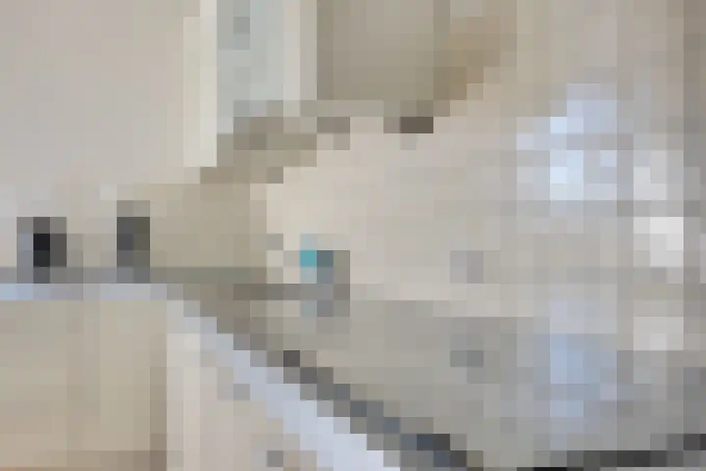 Klepel 344 Emmen thumbnail 10