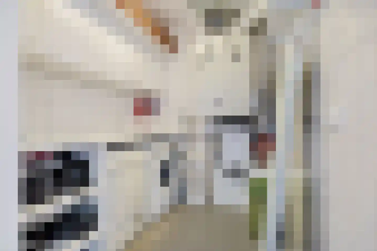 Klepel 344 Emmen thumbnail 33