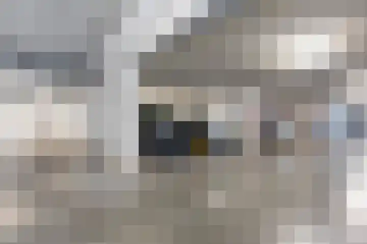 Klepel 354 Emmen thumbnail 29