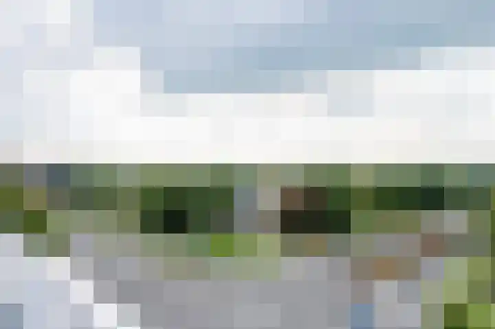 Klepel 354 Emmen thumbnail 32