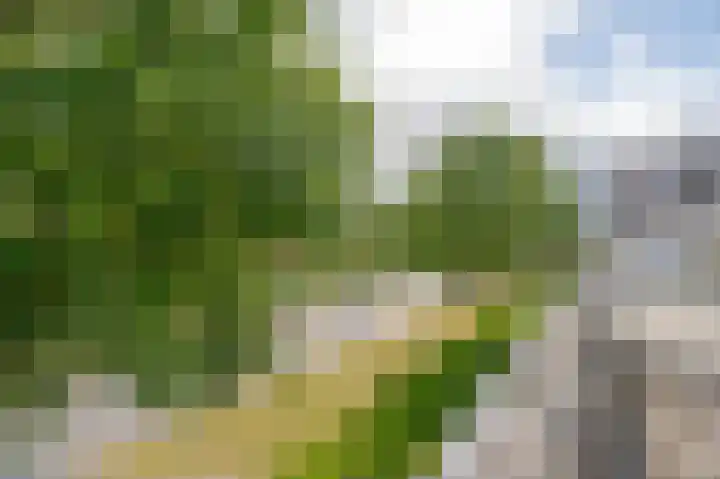 Klepel 374 Emmen thumbnail 4