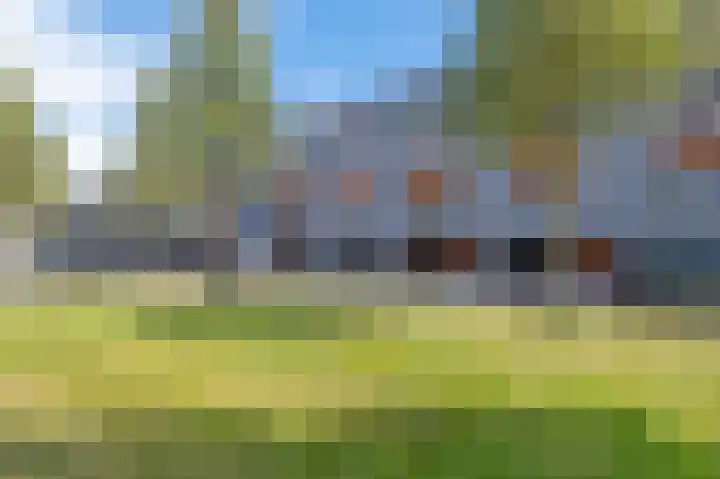 Klepel 374 Emmen thumbnail 45