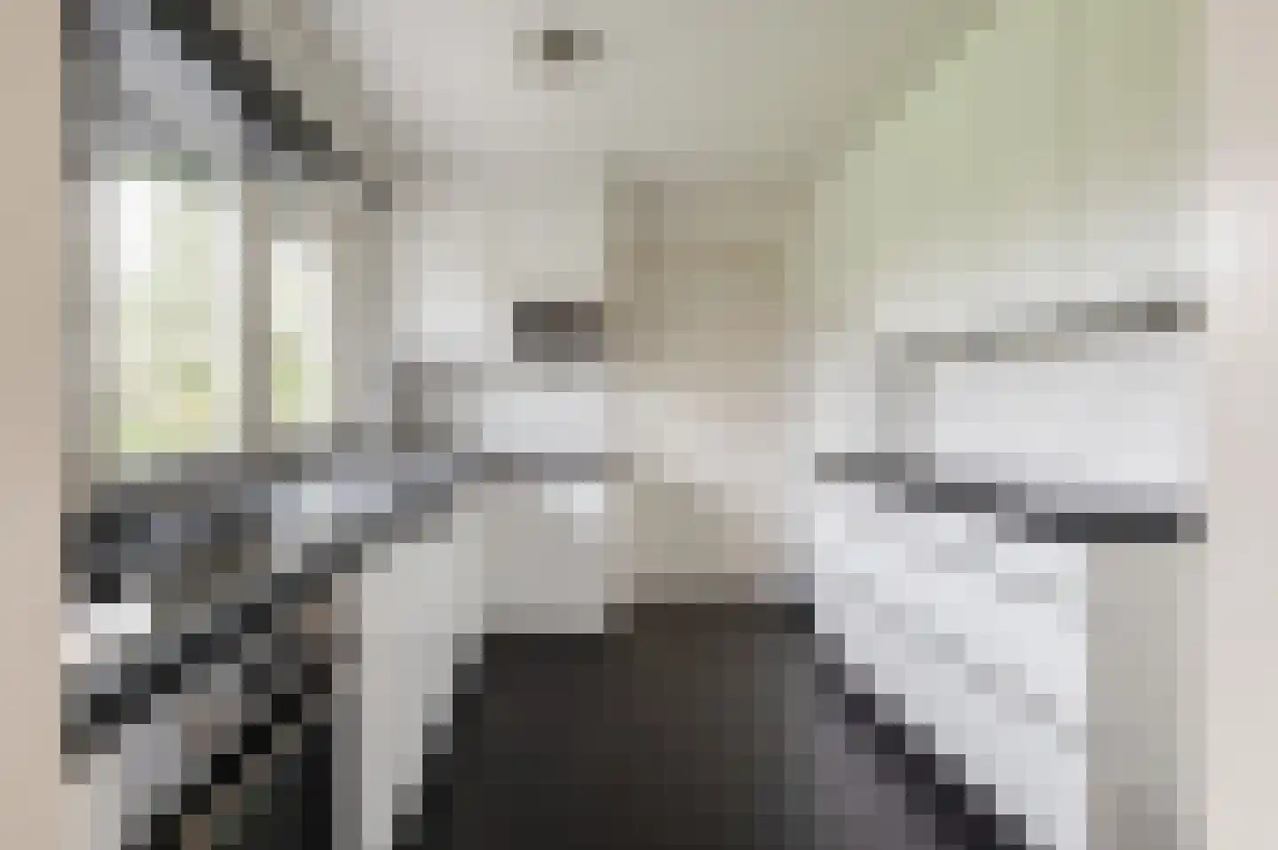 Klepel 4 Geldermalsen thumbnail 10
