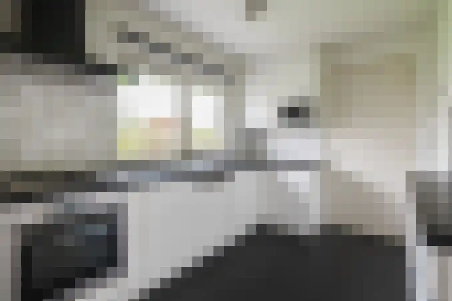 Klepel 4 Geldermalsen thumbnail 11