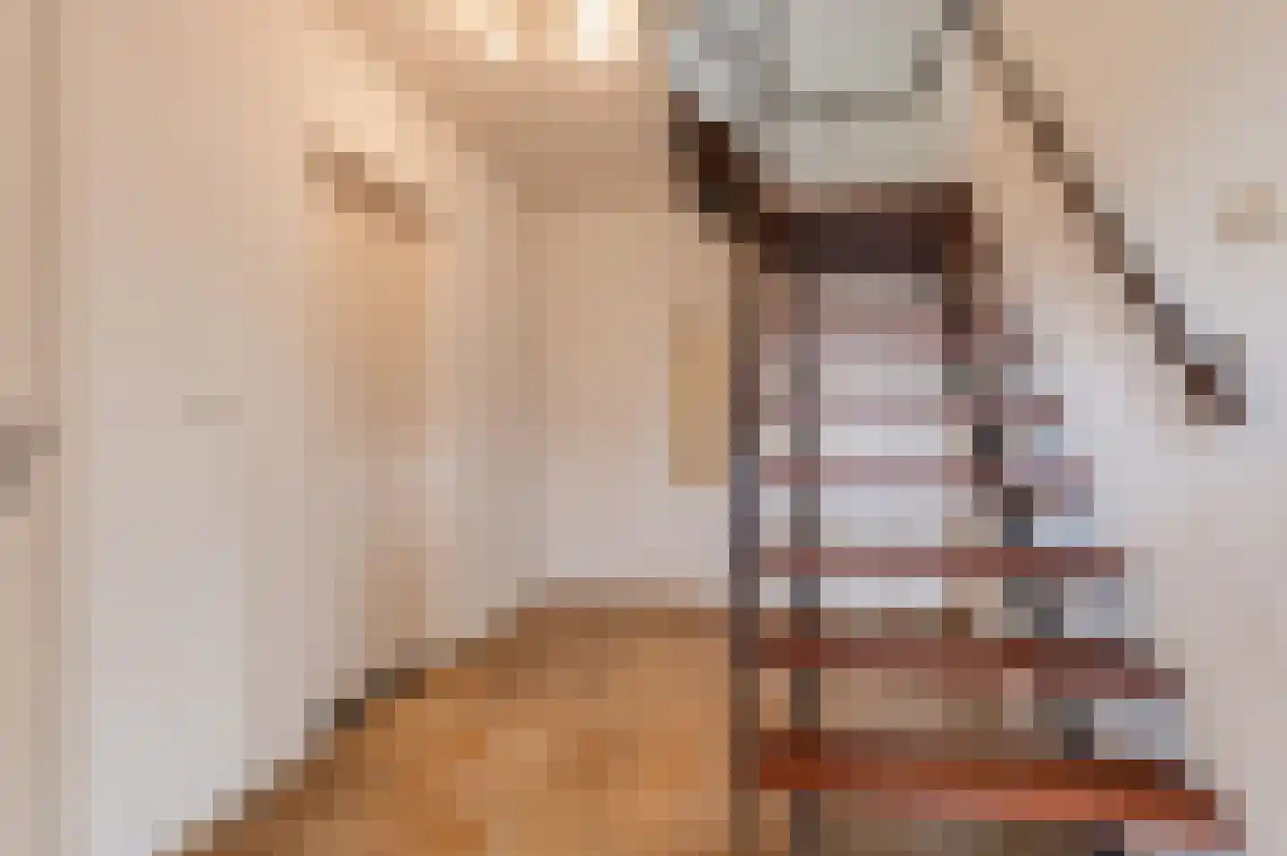 Klepel 4 Geldermalsen thumbnail 16