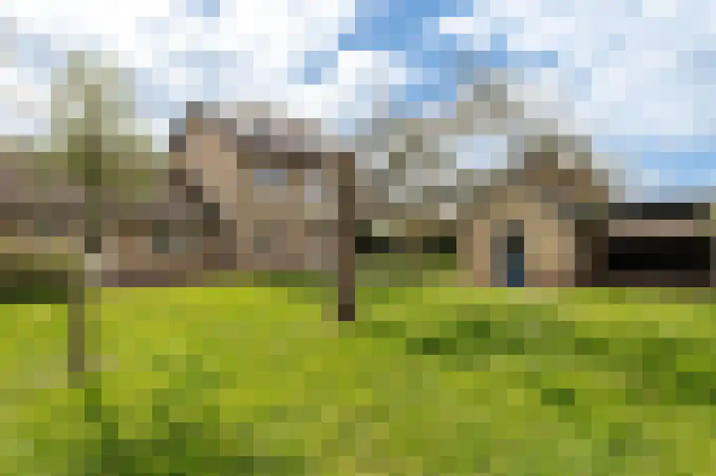 Klepel 4 Geldermalsen foto 3