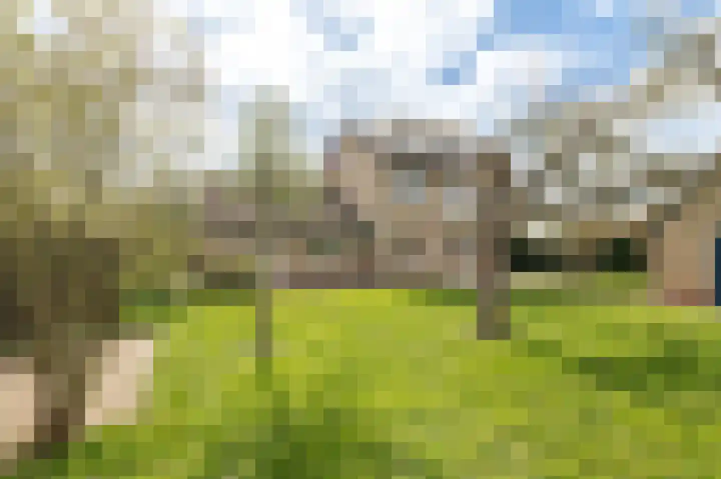 Klepel 4 Geldermalsen thumbnail 30