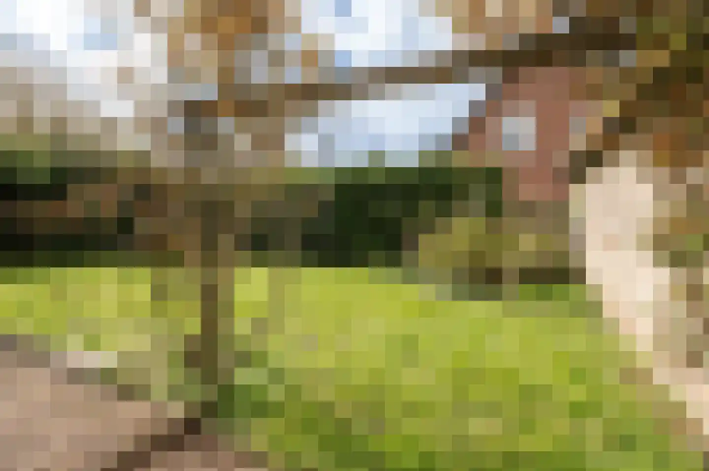 Klepel 4 Geldermalsen thumbnail 36