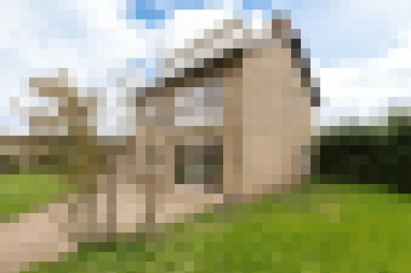Klepel 4 Geldermalsen thumbnail 39