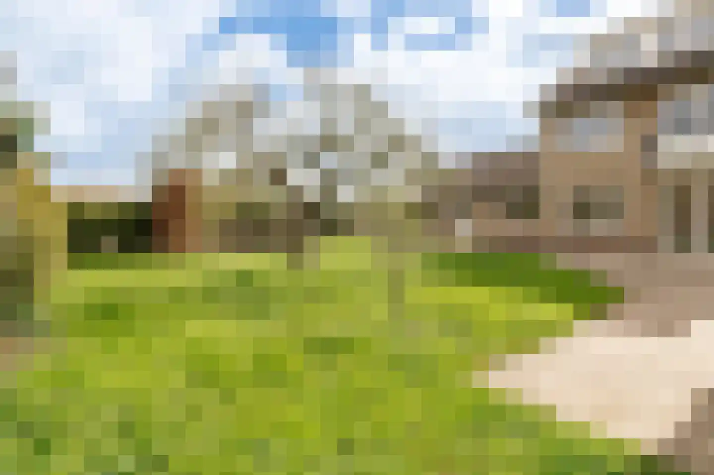 Klepel 4 Geldermalsen thumbnail 40