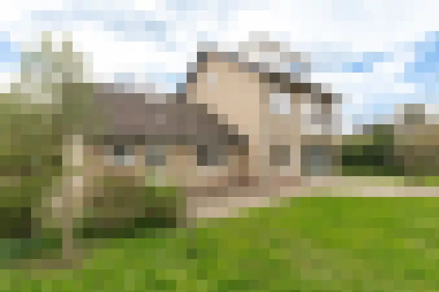 Klepel 4 Geldermalsen thumbnail 41