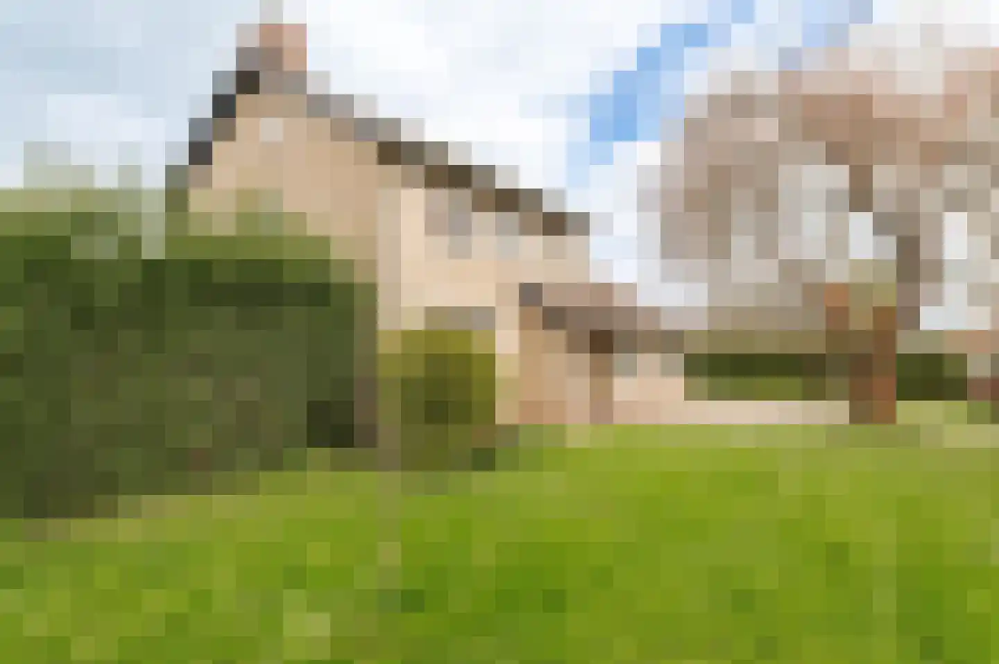 Klepel 4 Geldermalsen thumbnail 42
