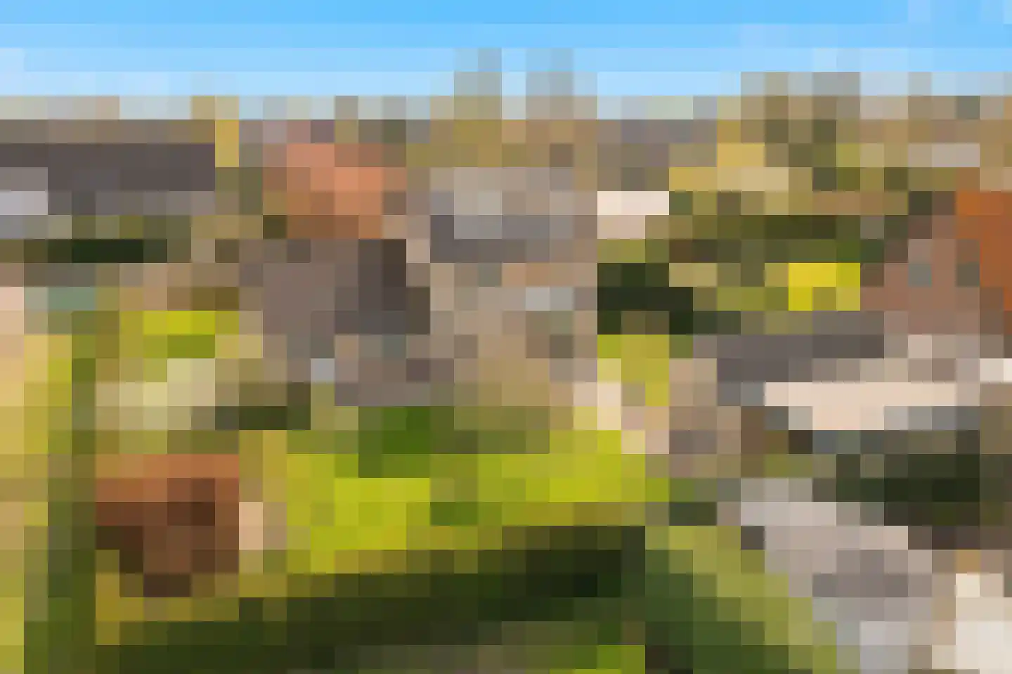 Klepel 4 Geldermalsen thumbnail 45