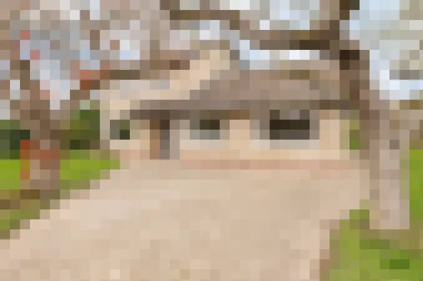 Klepel 4 Geldermalsen thumbnail 5