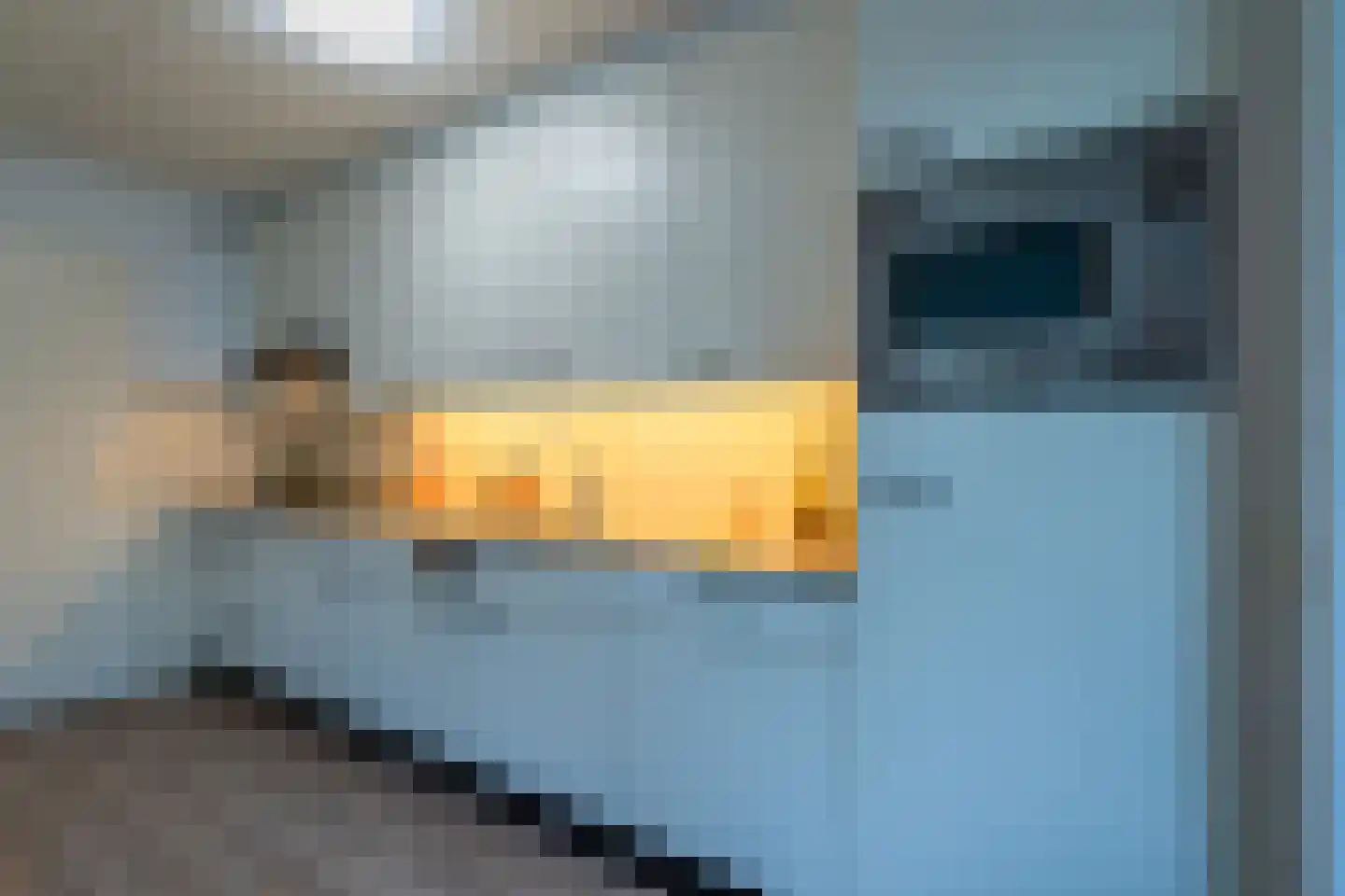 Klepel 400 Emmen thumbnail 11