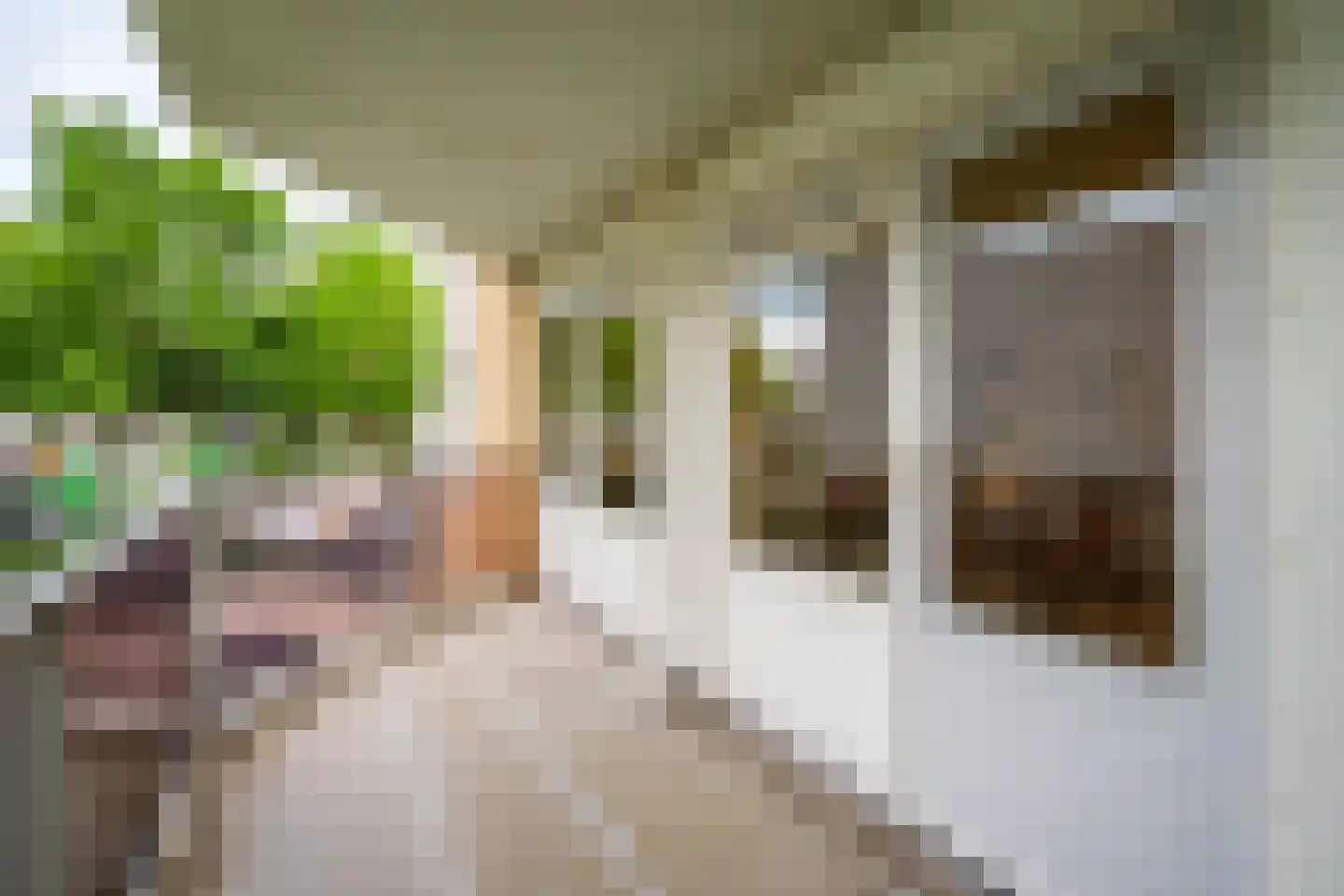 Klepel 400 Emmen thumbnail 14